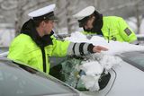 V prvním týdnu mistrovství sevřela Liberec sněhová kalamita. Ukázalo se, že ve výbavě nových policejních oktávií chybí škrabky na sníh. Někteří policisté tak každodenně shazovali několik centimetrů čerstvého sněhu z majáků na autech rukama.
