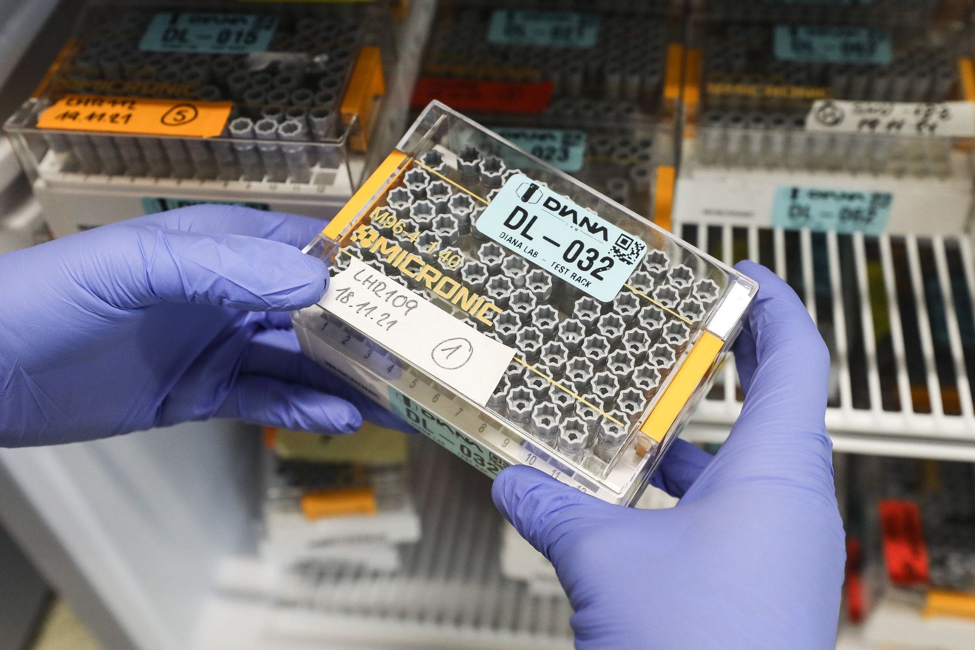 Výrobce PCR testů Diana Biotechnologies, laboratoř, koronavirus, nemoc, testování, laborant