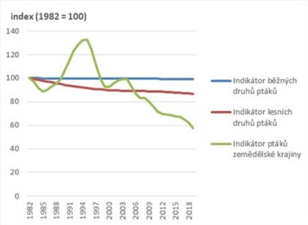 Indikátor všech běžných druhů ptáků, lesních druhů ptáků a ptáků zemědělské krajiny v ČR [index, 1982 = 100], 1982–2019 | Foto: ČSO, Ministerstvo životního prostředí