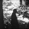 Jednorázové užití / Fotogalerie /  Noc dlouhých nožů / Youtube