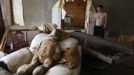 A man stands inside a house damaged by floods in the town of Krymsk in the Krasnodar region, southern Russia, July 8, 2012. in Russian President Vladimir Putin ordered investigators to find out if enough was done to prevent 144 people being killed in floods in southern Russia after flying to the region to deal with the first big disaster of his new presidency. REUTERS/Eduard Korniyenko (RUSSIA - Tags: DISASTER ENVIRONMENT POLITICS) Published: Čec. 8, 2012, 11:47 dop.