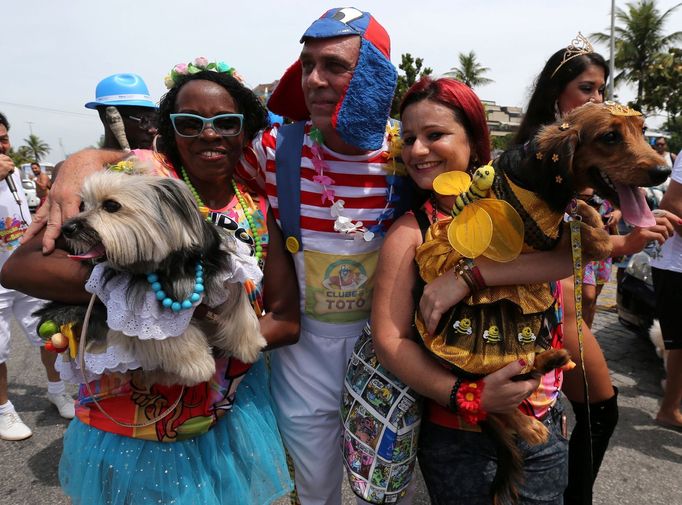 Karneval v Riu de Janeiro