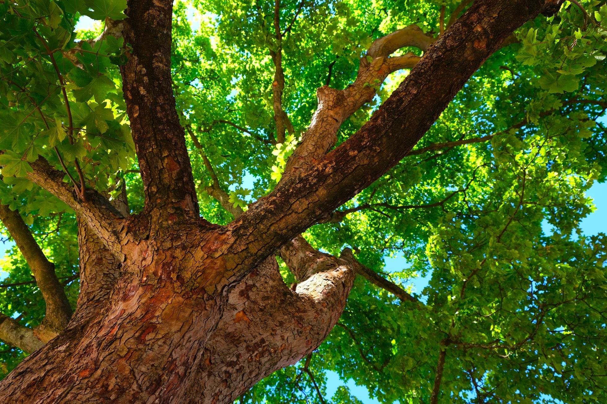 Muzeum Hanse Christiana Andersena