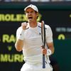 Andy Murray ve finále Wimbledonu 2016