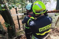 Hasiči stále bojují s ohněm v Českém Švýcarsku, požár se v tuto chvíli dál nešíří
