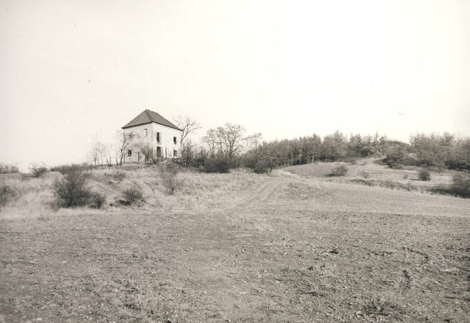 Historie pražské zoo sahá až do 80. let 19. století. Snahy o její založení se ale zrealizovaly téměř o 40 let později. Koncem roku 1927 bylo oploceno osm hektarů budoucí