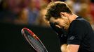 Andy Murray ve finále Australian Open 2016