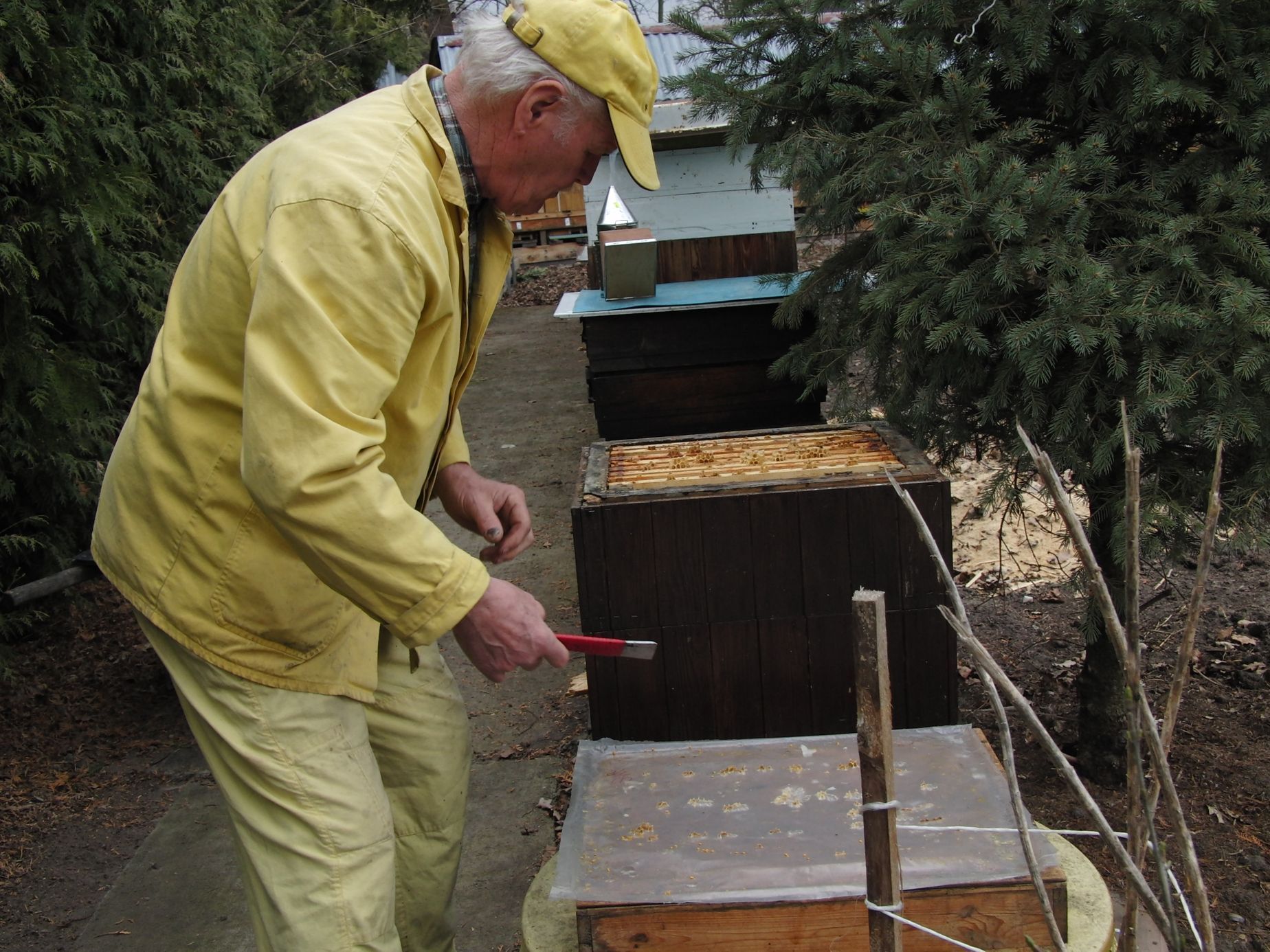73letý lesník, dřevorubec a včelař Arnošt Klukas