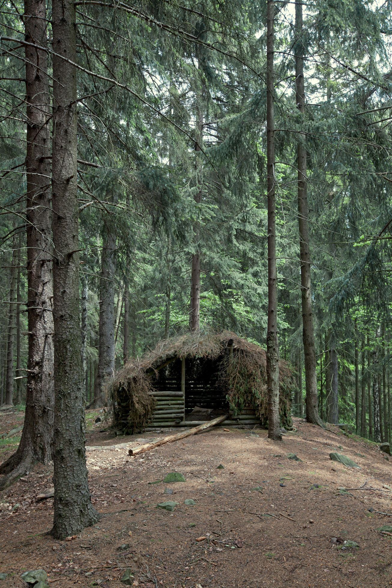 Trampové od Libora Fojtíka