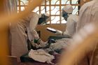 Na ebolu zemřel i hlavní lékař. Aerolinka ruší lety
