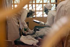 Primářka online: Epidemie eboly je v Evropě nepravděpodobná