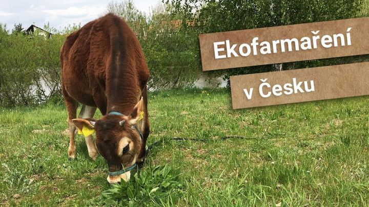 Mapa ekofarmaření v Česku. Podívejte se na výběr z projektů, kde umí hospodařit jinak