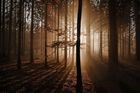Fotky pro hezčí den: Český podzim je krásný - ať už svítí slunce, nebo je mlha