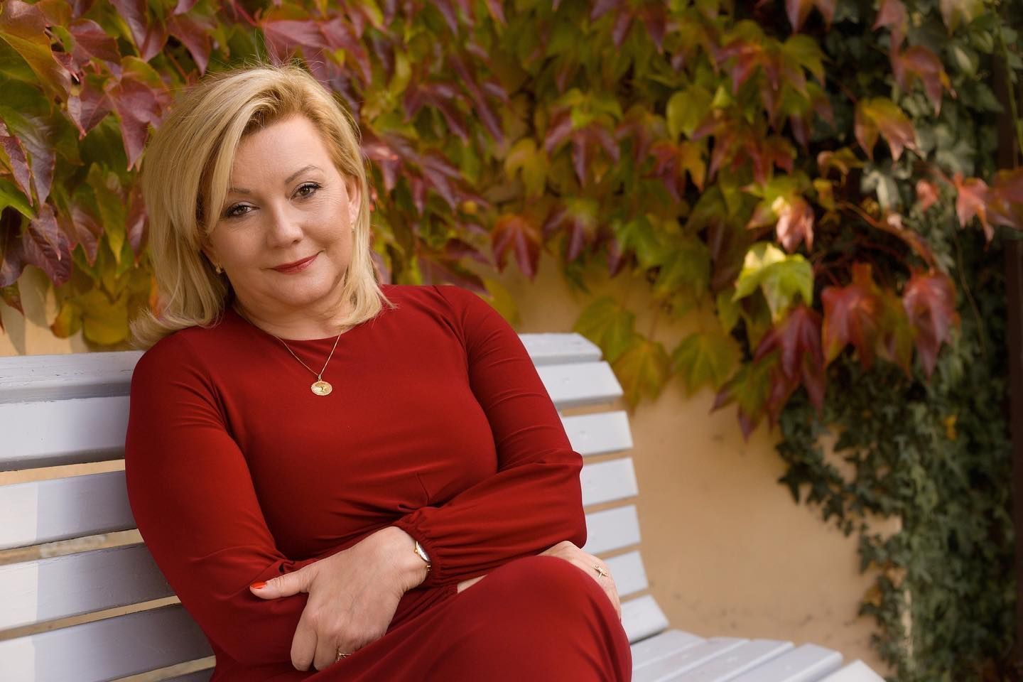 alena schillerová audit