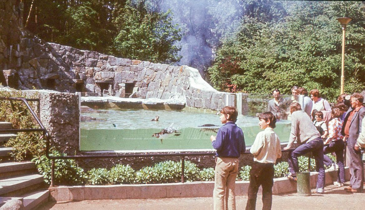 ZOO Liberec, zoo, zoologická zahrada, Liberec, historie, výročí, Domácí