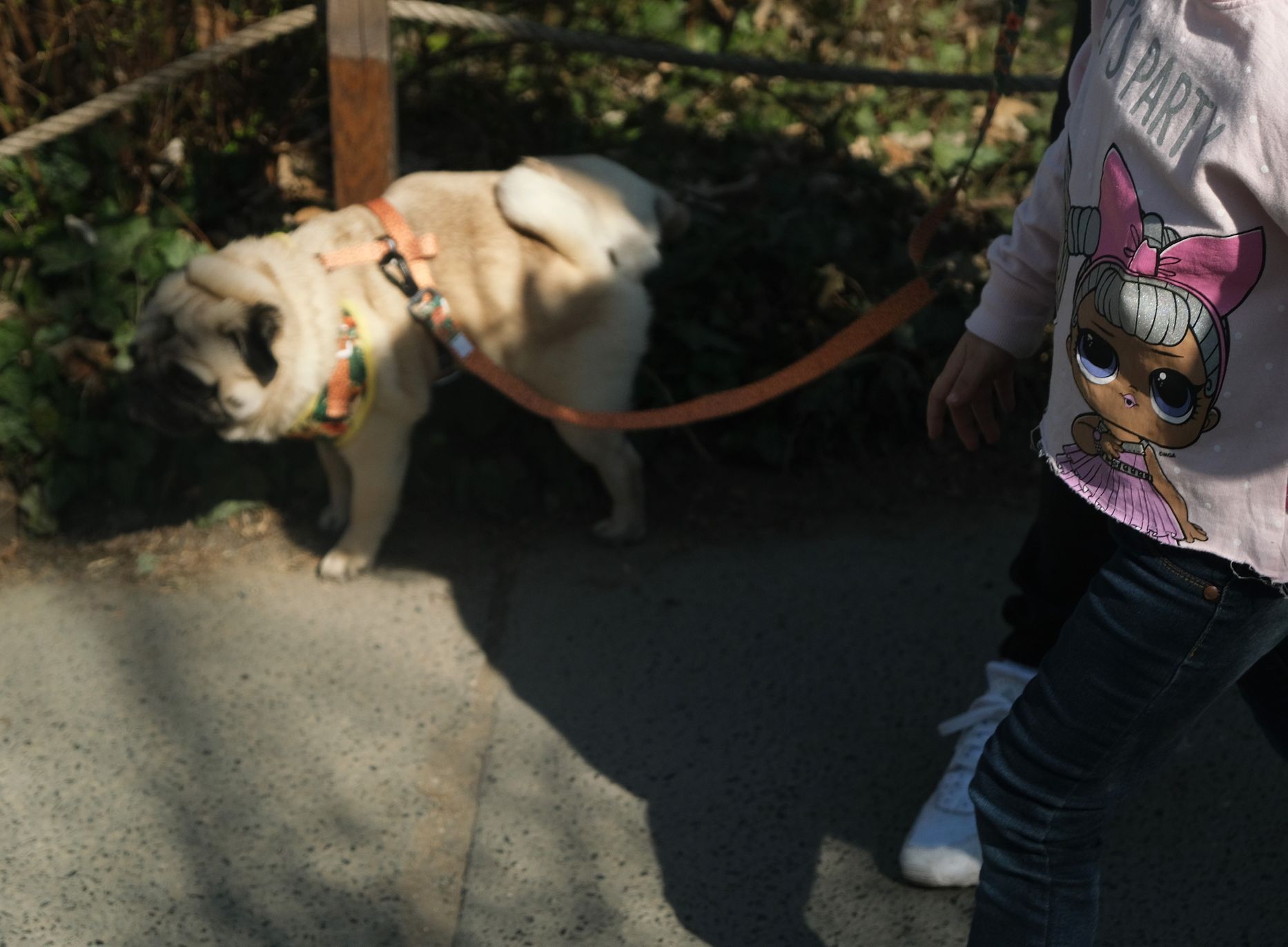 ZOO zahájení sezóny