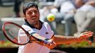 Tommy Haas of Germany hits a return to Stanislas Wawrinka of Switzerland during their men's singles match at the Rome Masters tennis tournament May 15, 2014. REUTERS/Max