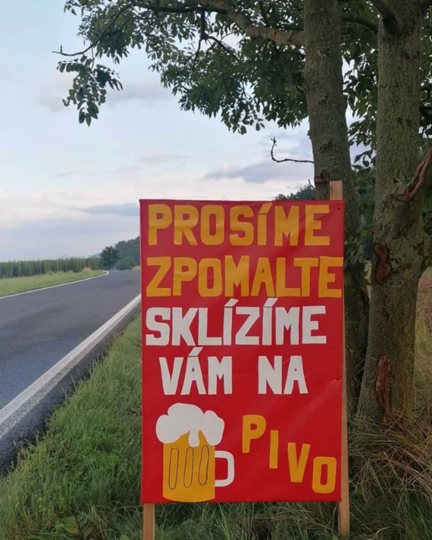 cedule 2021