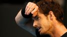 Andy Murray na Australian Open 2016