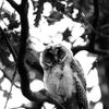 Week of Life - Jan Vrba - 11. 6. 12 - 9