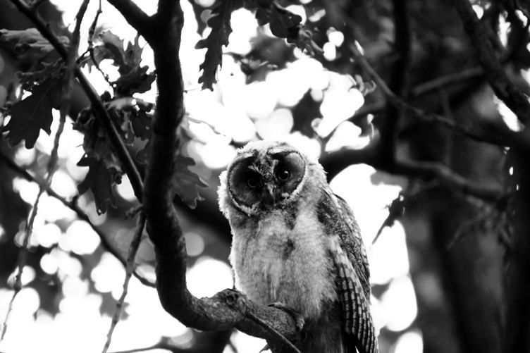 Week of Life - Jan Vrba - 11. 6. 12 - 9
