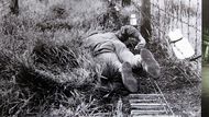 V archivech najdeme i pěkné prasárny komunistů jak si je sami zdokumentovali. Němec Bruno Heinrich na hraničních elektrických drátech. Dolní Pelhřimov 10.7.1953.