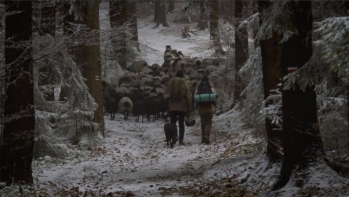 Janek Sedlář: Žít lehce - příběhy o cestě za svobodou a soběstačností