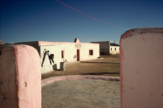 Alex Webb