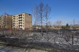 Ekologičtí aktivisté z organizace Greenpeace Russia v pondělí varovali, že požár představuje riziko kvůli možnému úniku radiace. Oheň se podle nich v tu chvíli nacházel pouze jeden kilometr od uzavřené černobylské elektrárny.