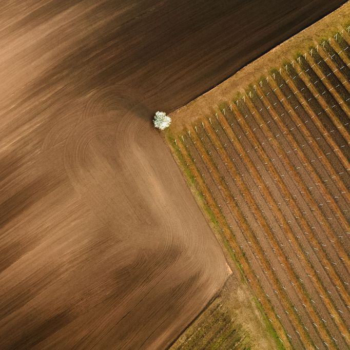 Moravské Slovácko, jižní Morava, fotografie z dronu, fotograf Radek Severa