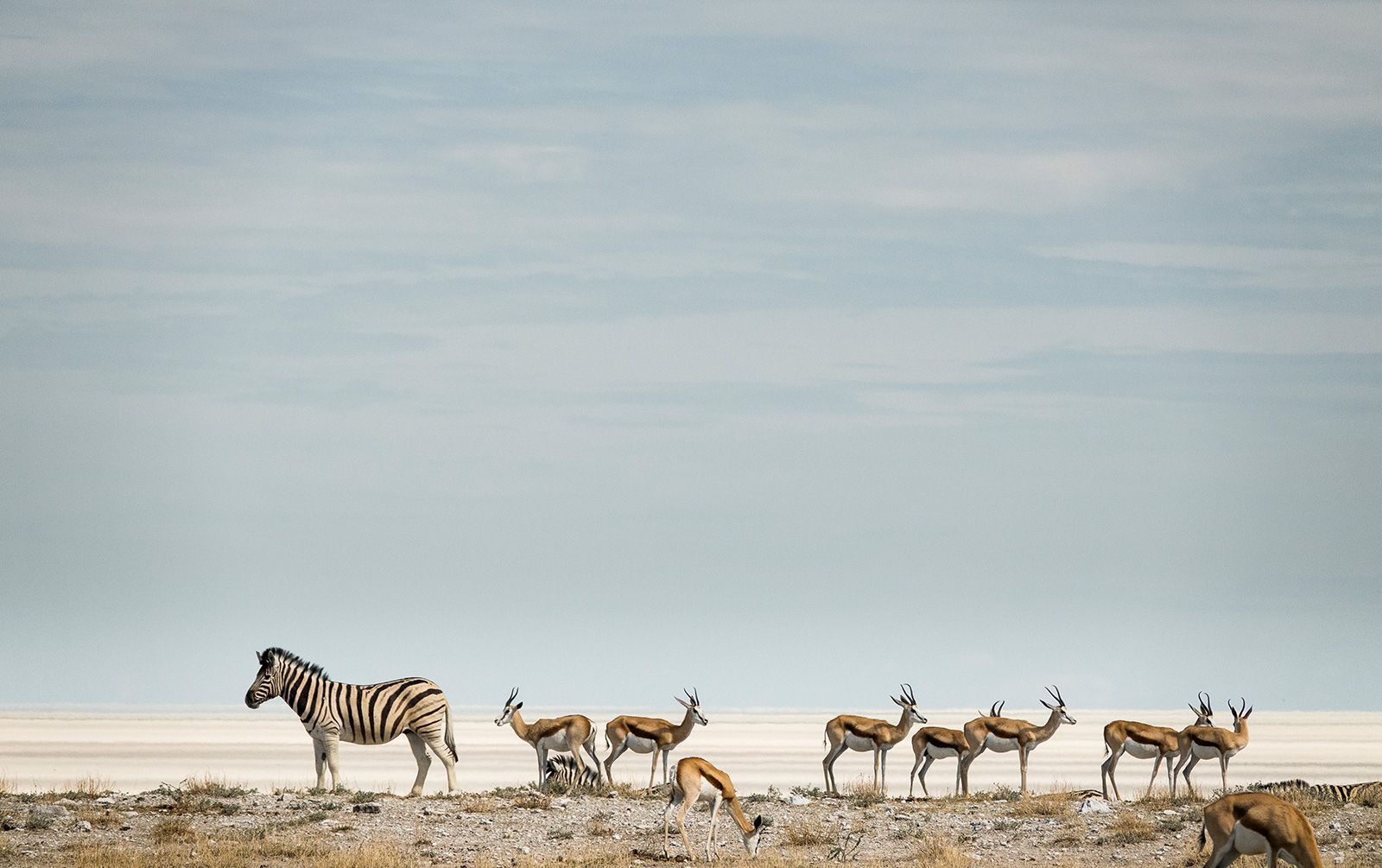 Fotografie Chrise Schmida z Namibie