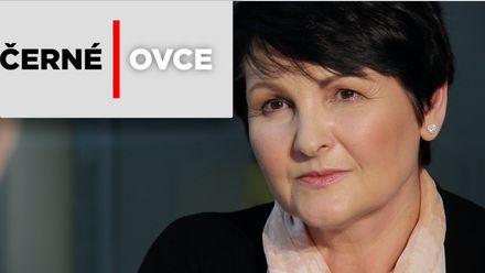 Nejvíc funguje jídlo, test dortíků trhal rekordy, televize má obrovskou moc, říká Fialová