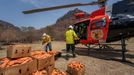 Pracovníci australského národního parku rozhazují z vrtulníku mrkev pro zvířata v oblastech, které postihly požáry.