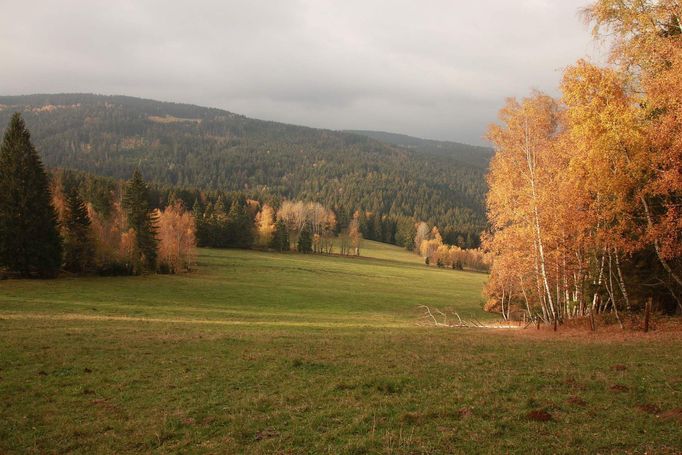 Šumava