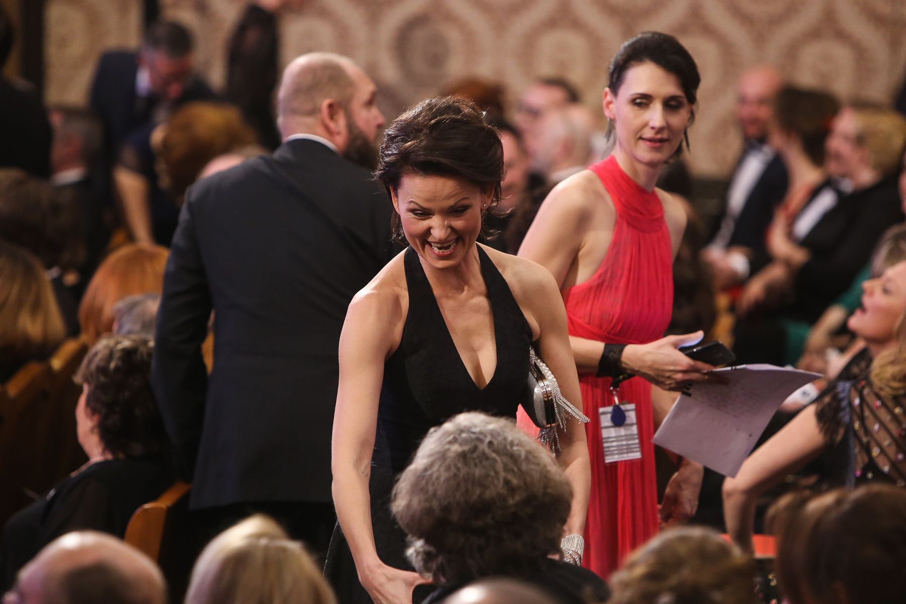 Český lev 2017 - finální editované foto