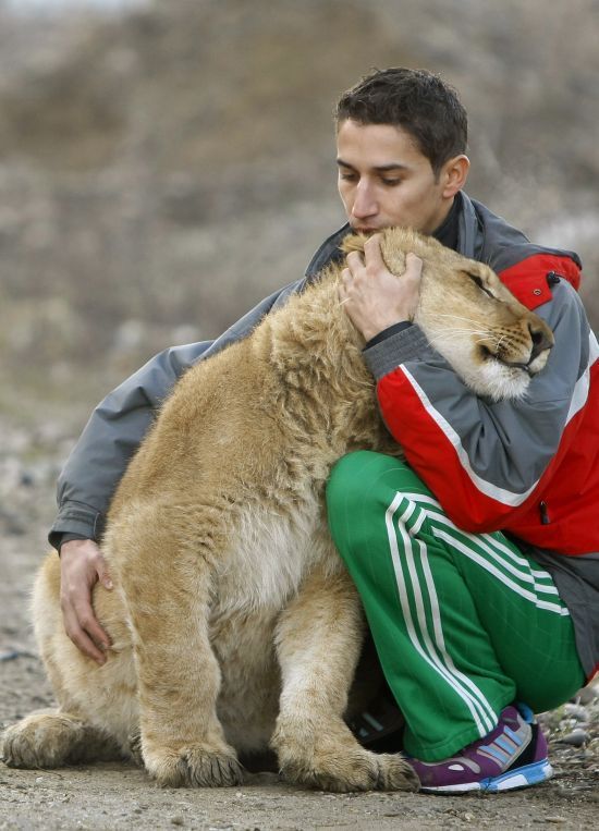 Muž se loučil se svým lvem
