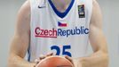 David Jelínek, Česko - Mexiko. Příprava českých basketbalistů 30.6.2016