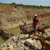 Čínské zlaté doly ve Středoafrické republice