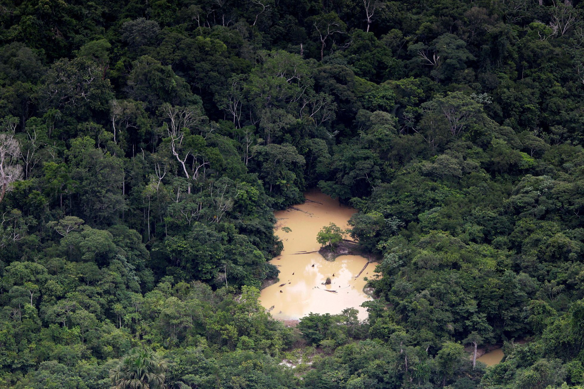 Ilegální těžba zlata v Amazonii, Brazílie