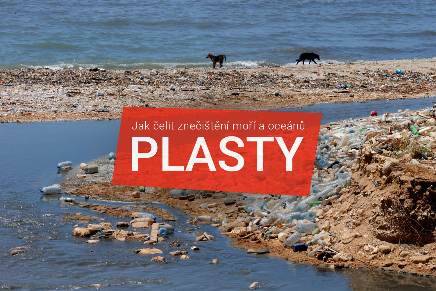 Jak čelit znečištění moří a oceánů plasty