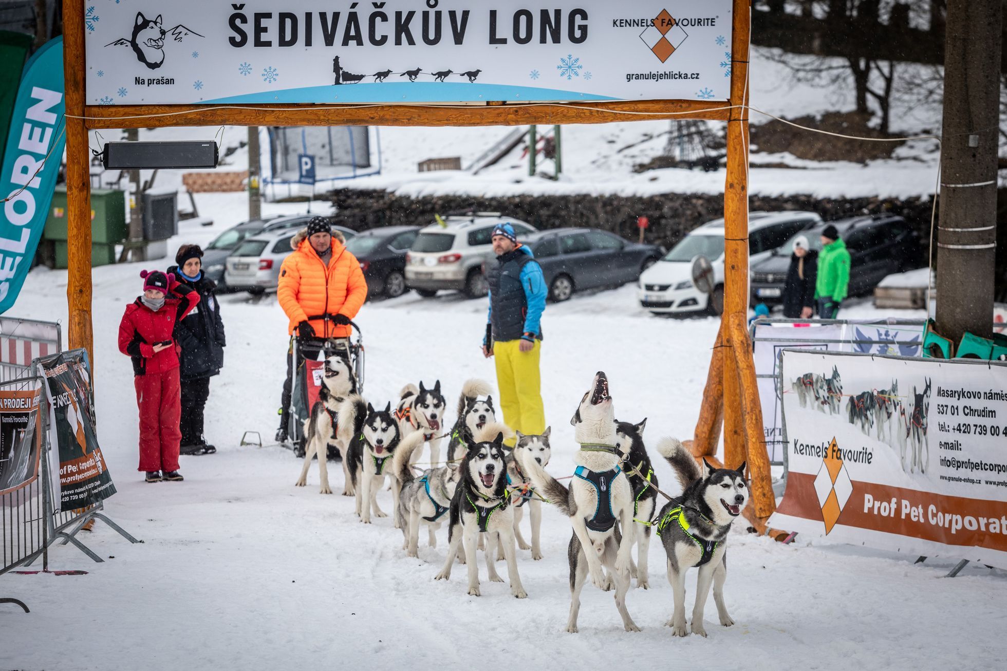 Šediváčkův long 2025