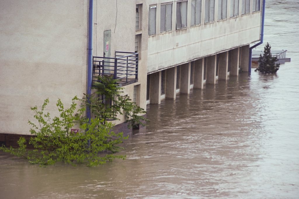Fotogalerie: Povodeň v Holešovicích a v Libni
