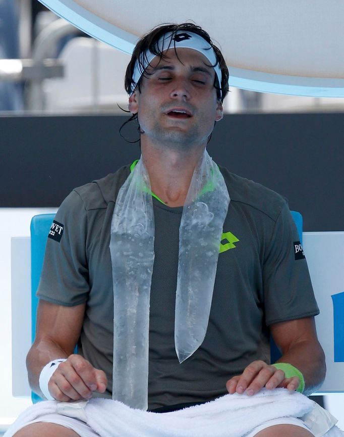 David Ferrer na Australian Open 2014