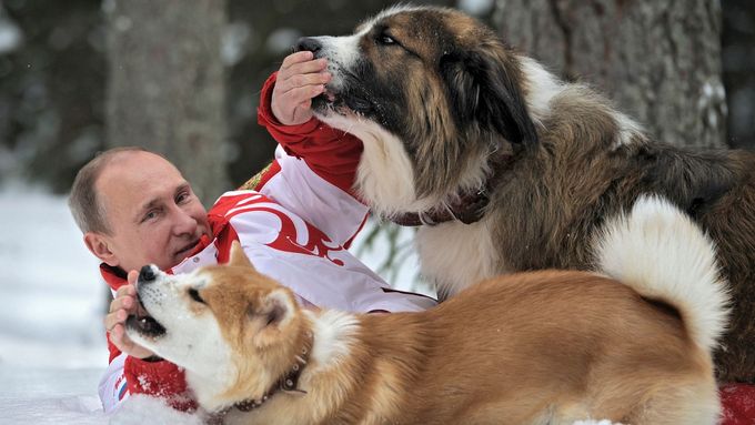 Prezidnet Ruské federace Vladimír Putin si hraje se psy na archivním snímku z roku 2013.