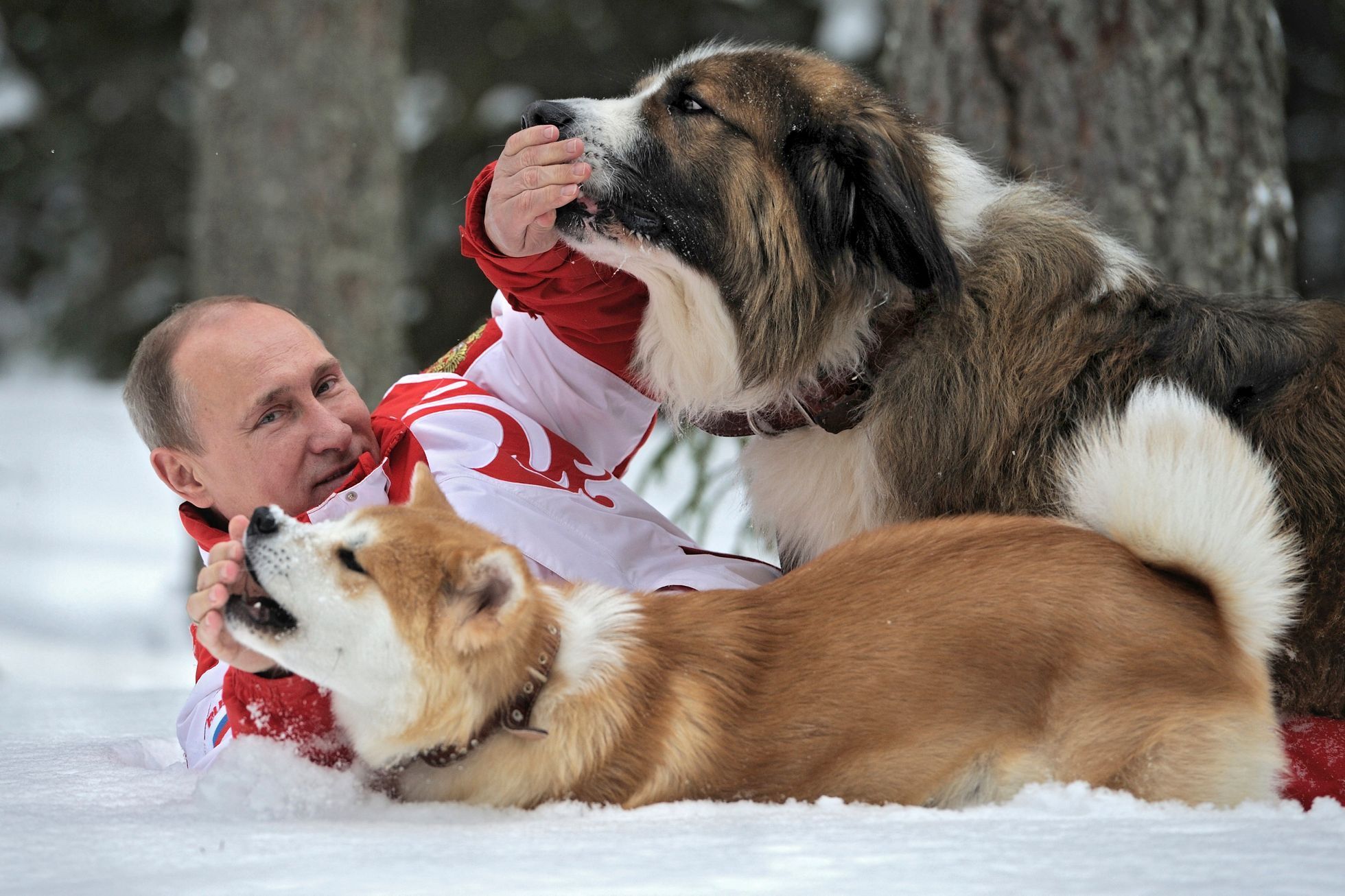 Vladimir Putin / Zvířata