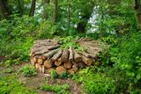 Na území Horních Počernic vznikl krajinný park V Ladech. Přibyly i nové prvky. Například broukoviště tvořené kusy kmenů, ve kterých žijí brouci i jiné organismy vázané na odumírající nebo odumřelé dřevo.