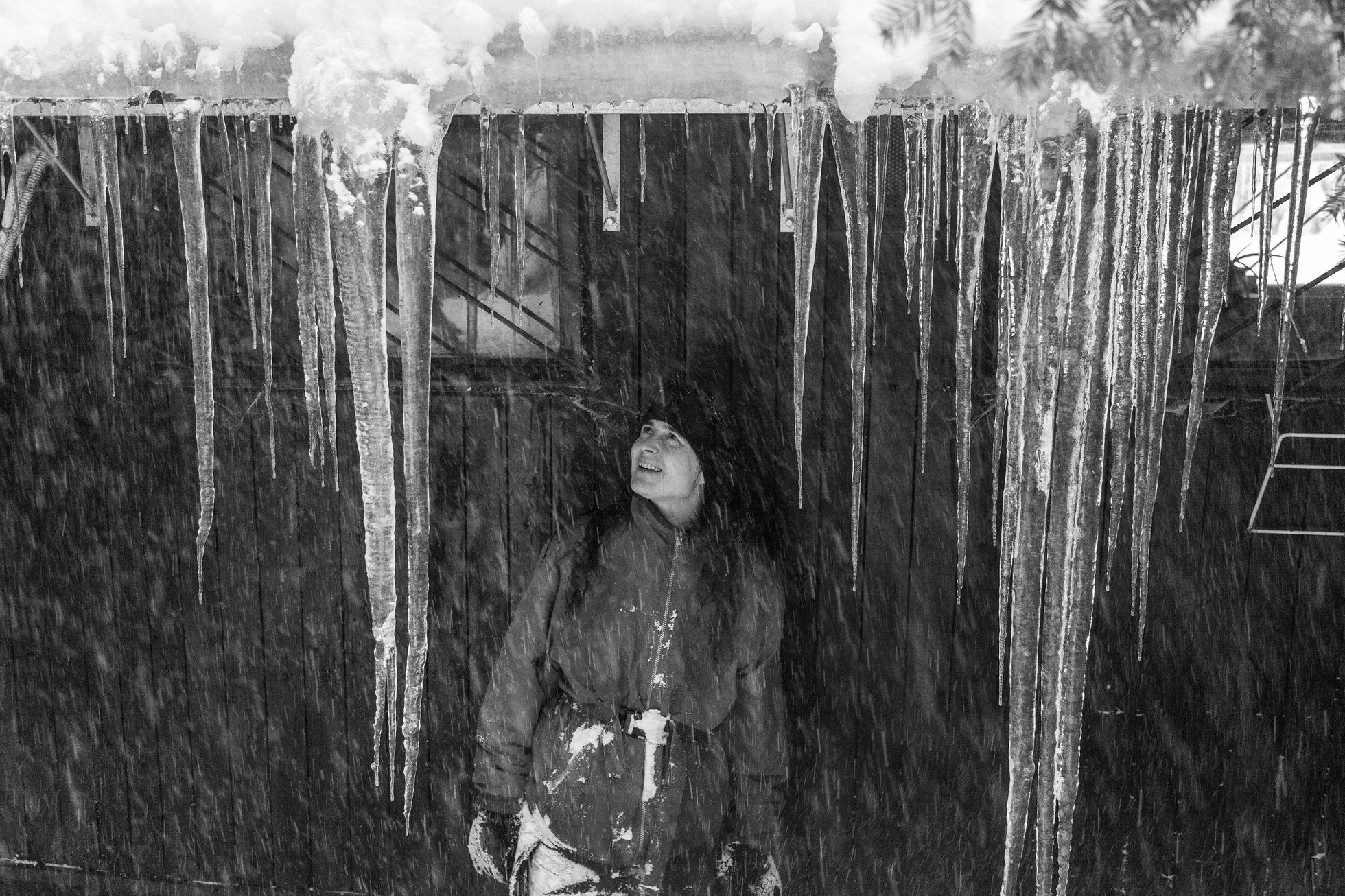 Aleš Palán, Samotáři 2