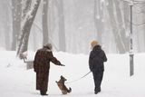 Ženy venčí park ve sněhem zcela zapadaném parku v centru ukrajinské metropole Kyjev.