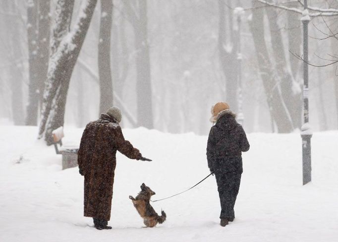 Ženy venčí park ve sněhem zcela zapadaném parku v centru ukrajinské metropole Kyjev.