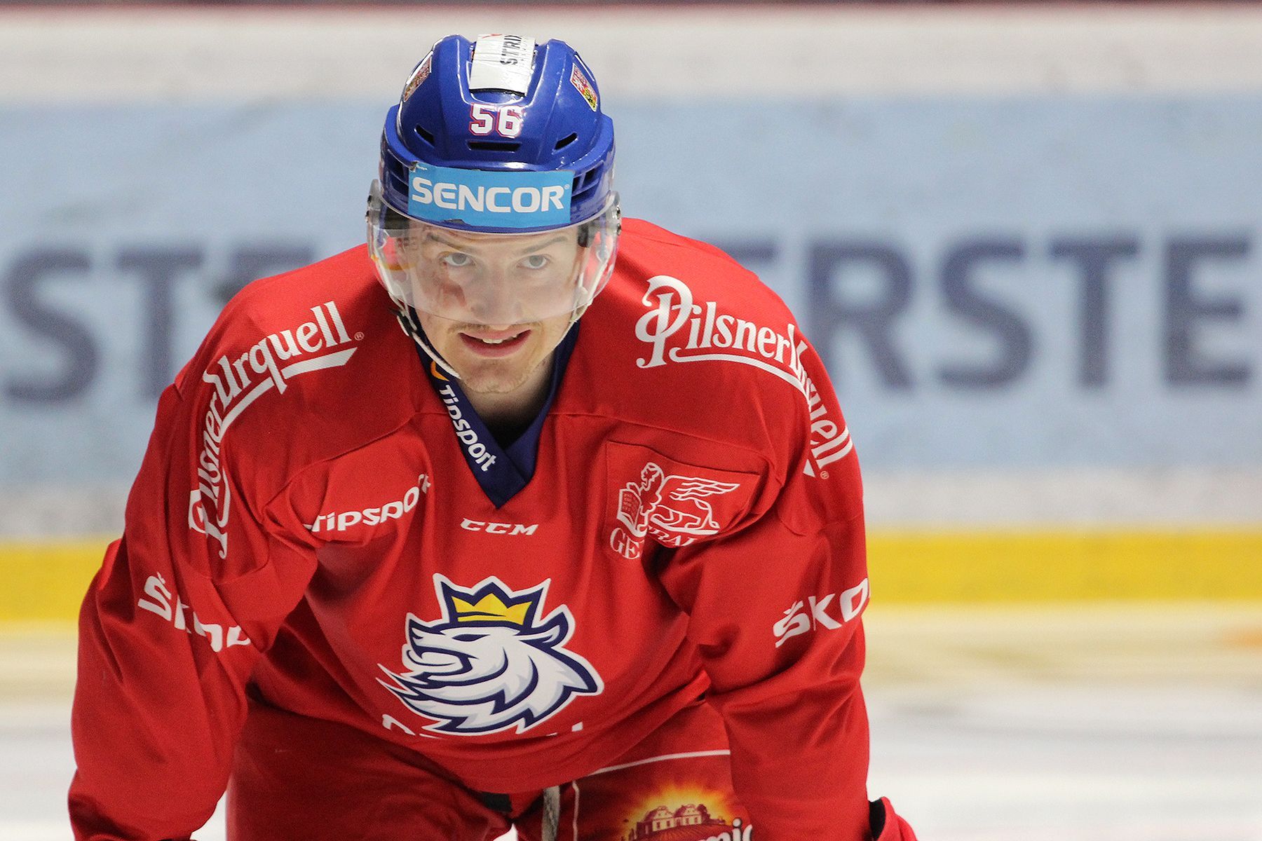 Hokejová reprezentace před MS 2019: Rudolf Červený